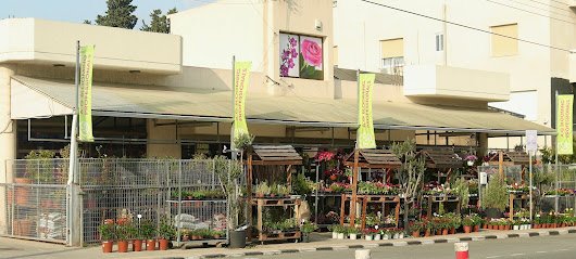 The A&G Blooming Professionals flower shop storefront in Limassol, with bouquets and plants on display
